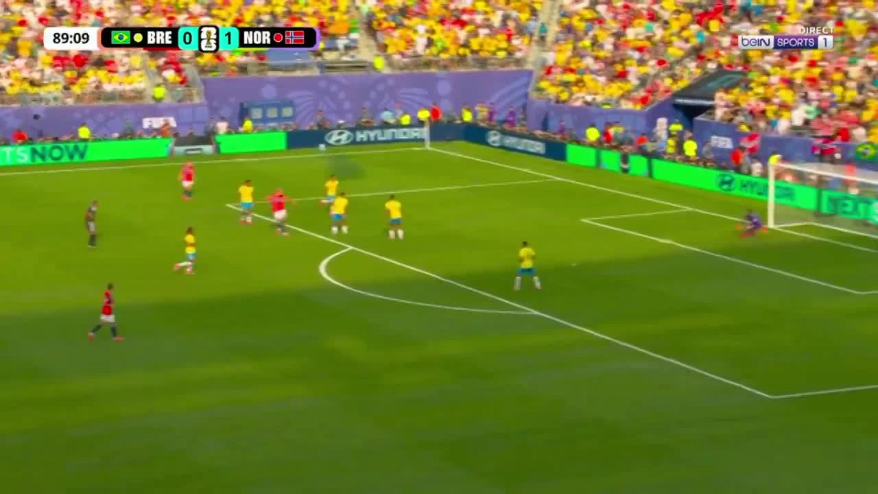 zaslepka skrotu video