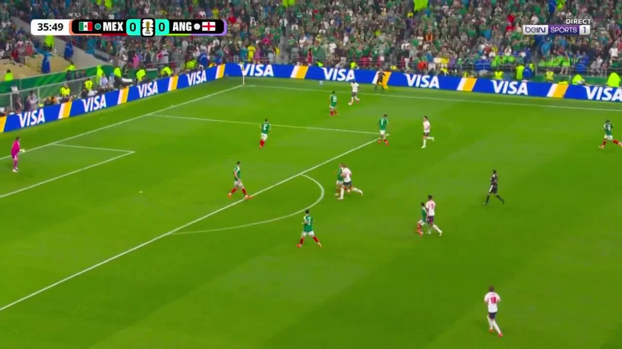 zaslepka skrotu video