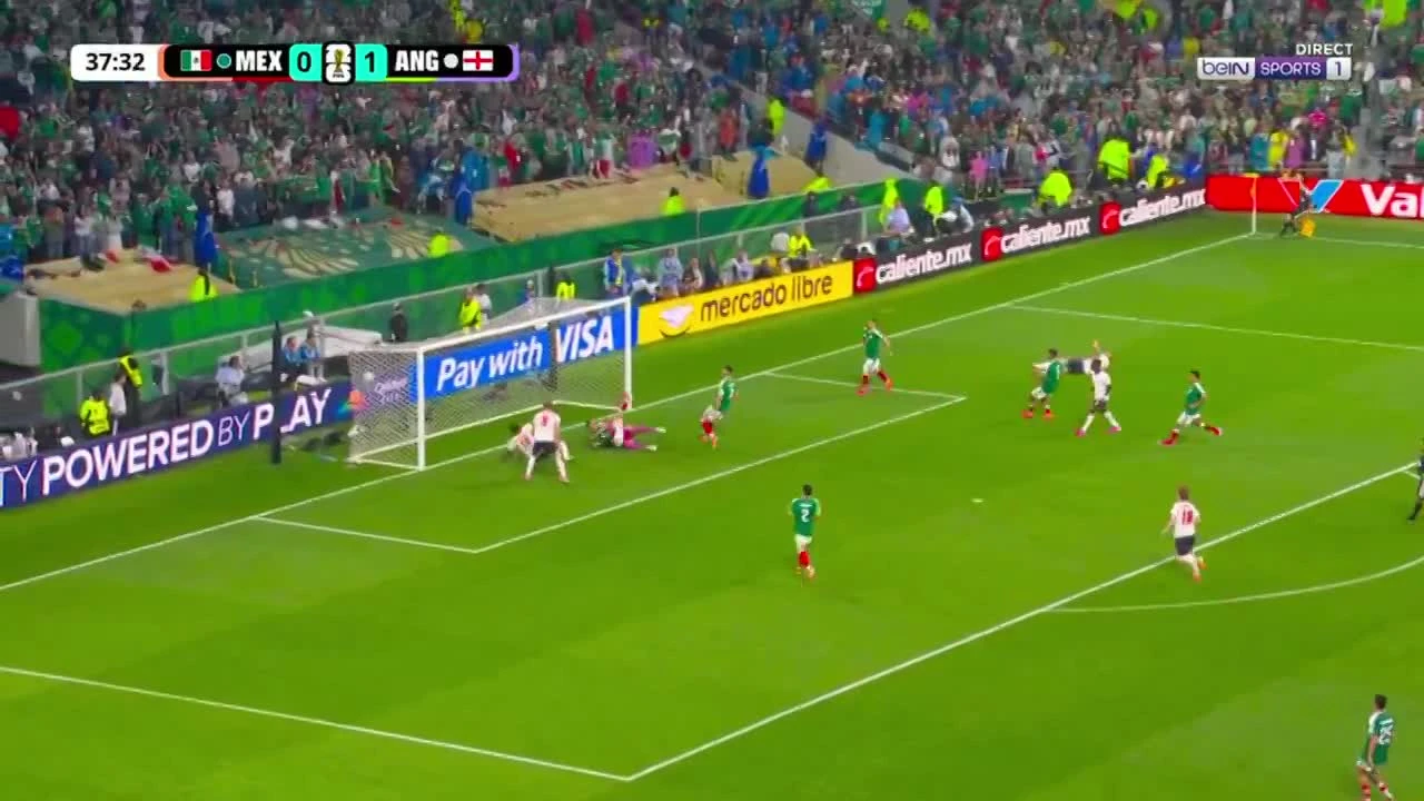 zaslepka skrotu video