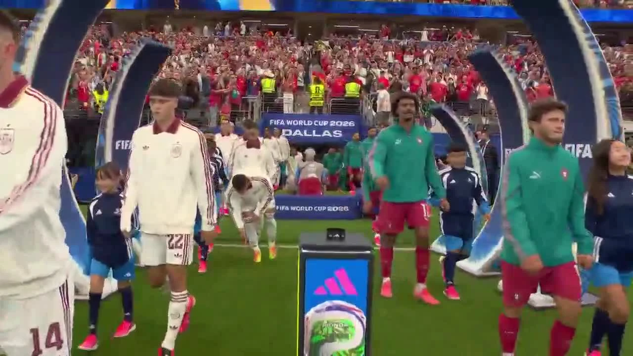 zaslepka skrotu video