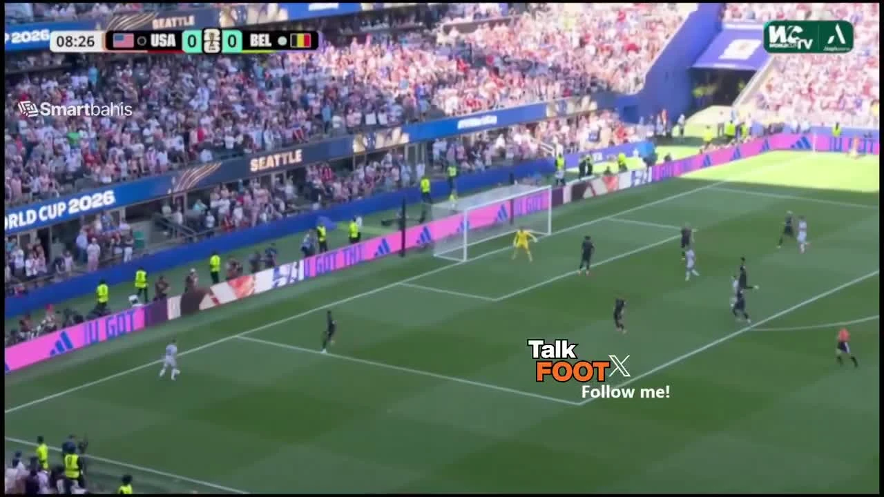zaslepka skrotu video