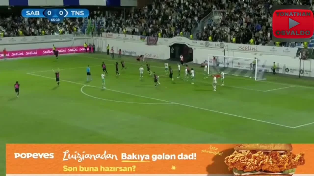 zaslepka skrotu video