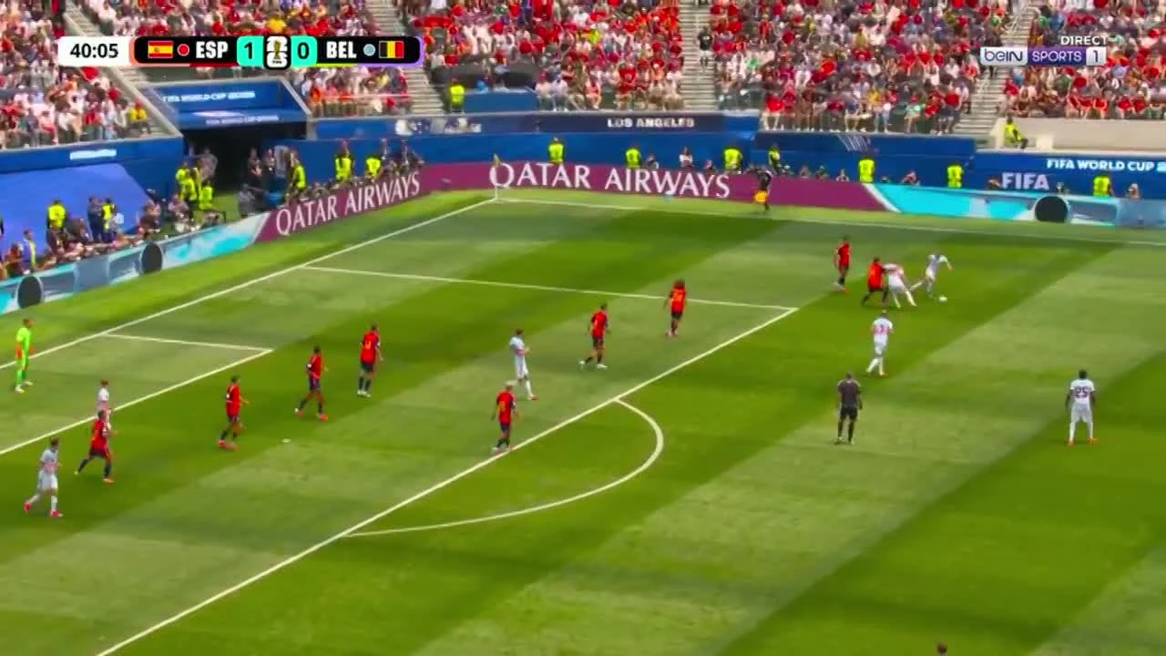 zaslepka skrotu video