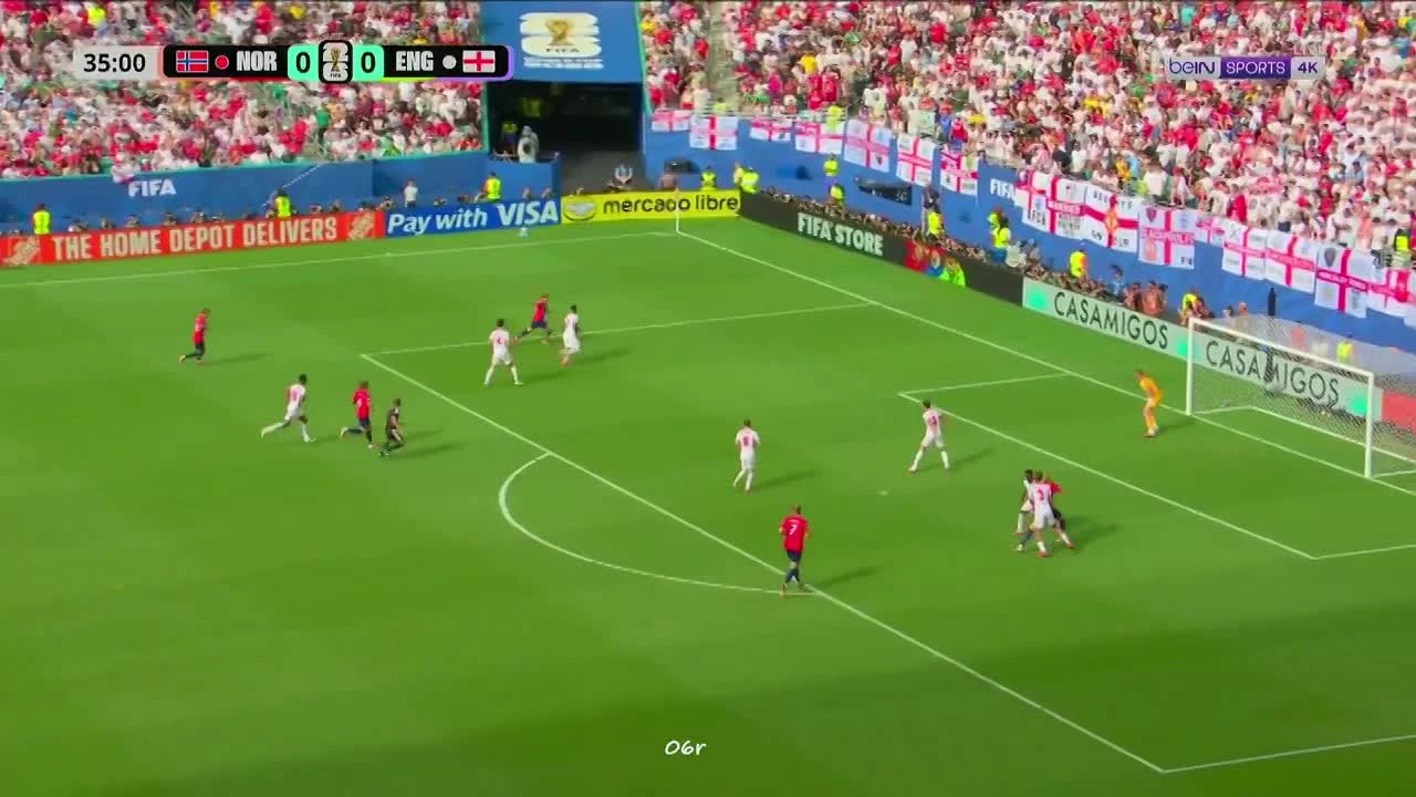zaslepka skrotu video