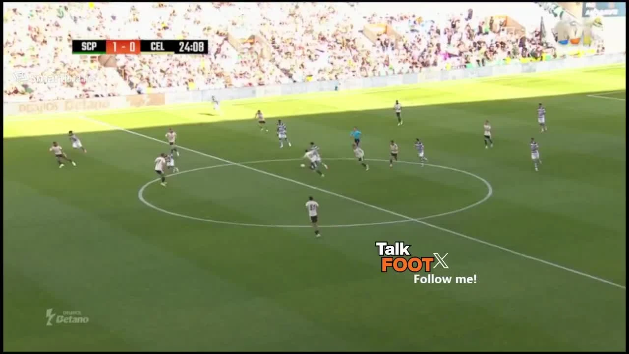 zaslepka skrotu video
