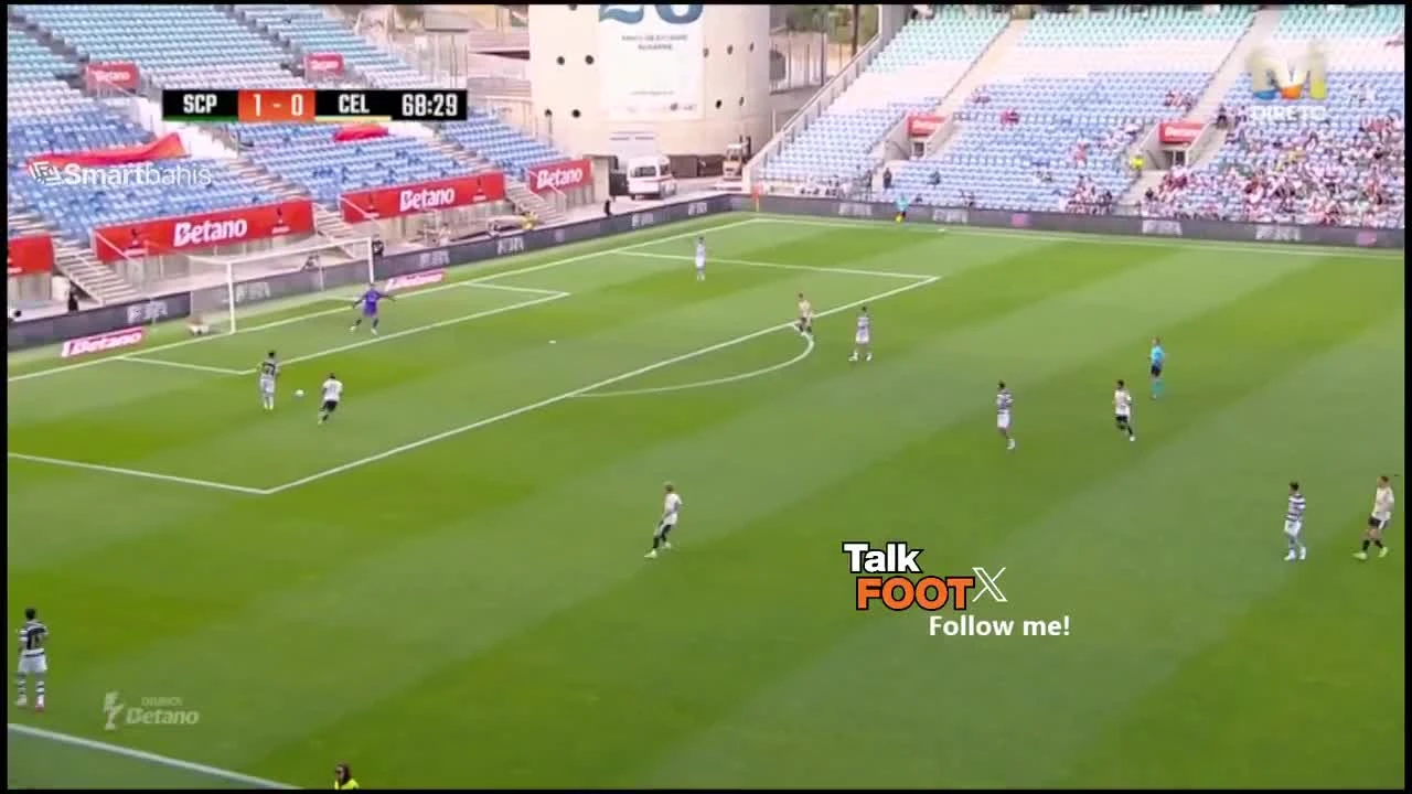 zaslepka skrotu video