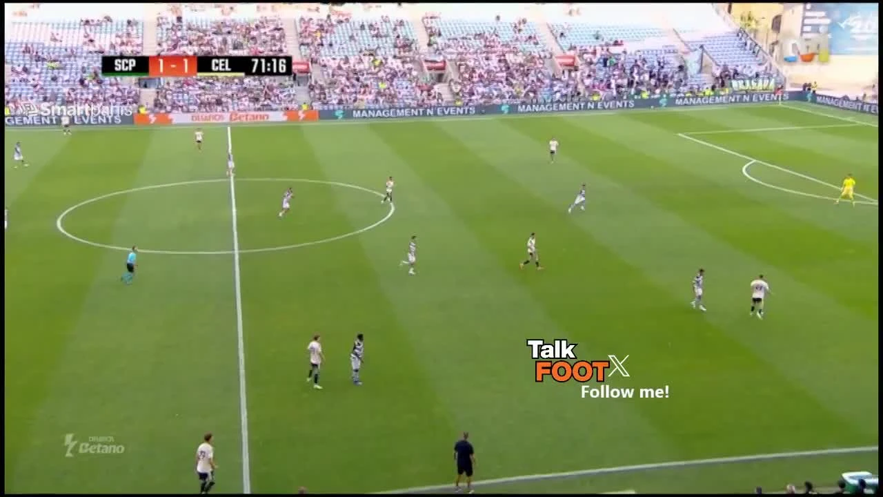 zaslepka skrotu video