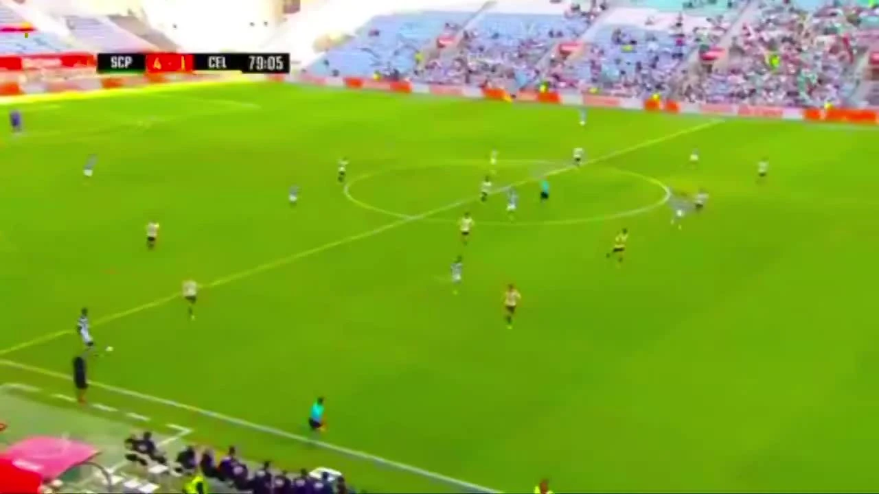 zaslepka skrotu video