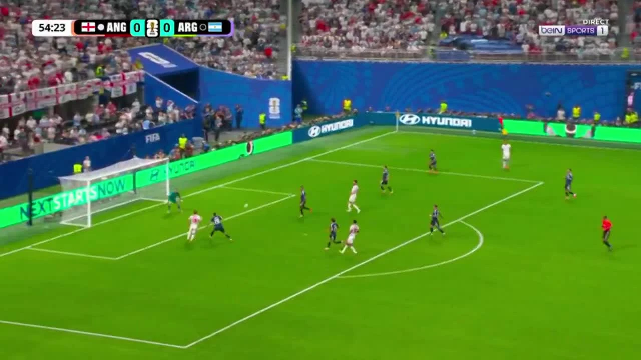 zaslepka skrotu video