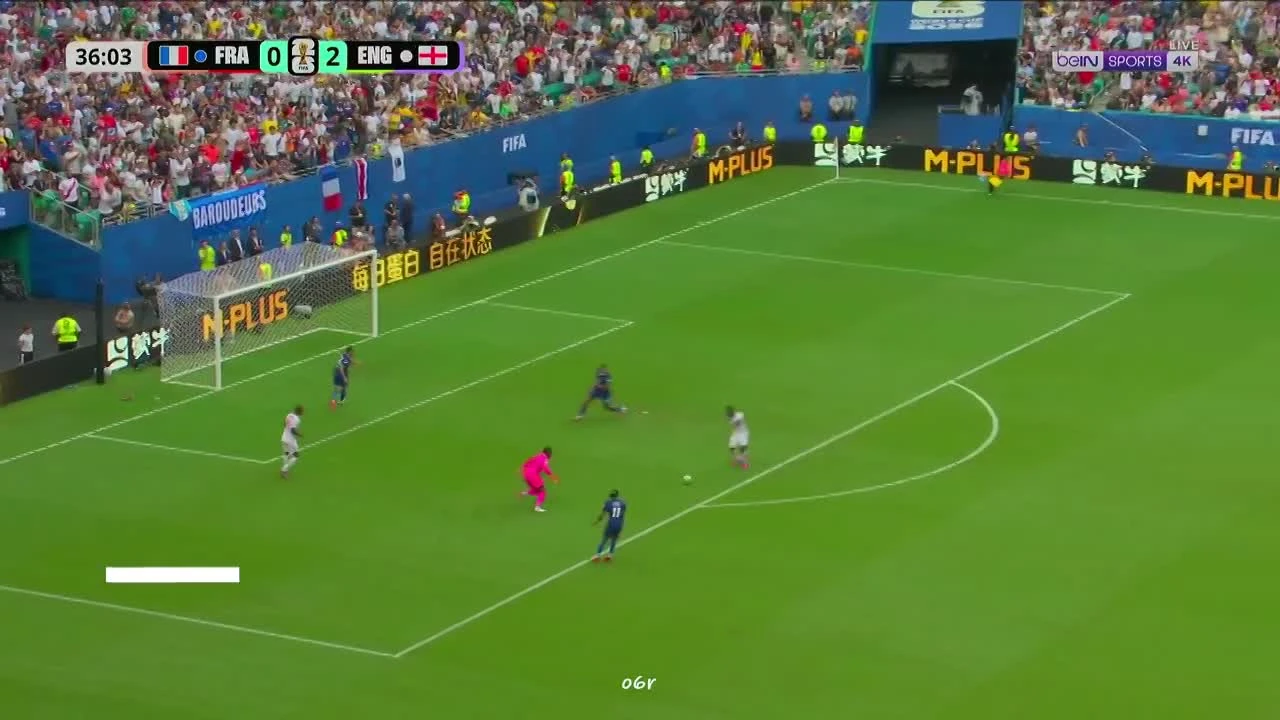 zaslepka skrotu video