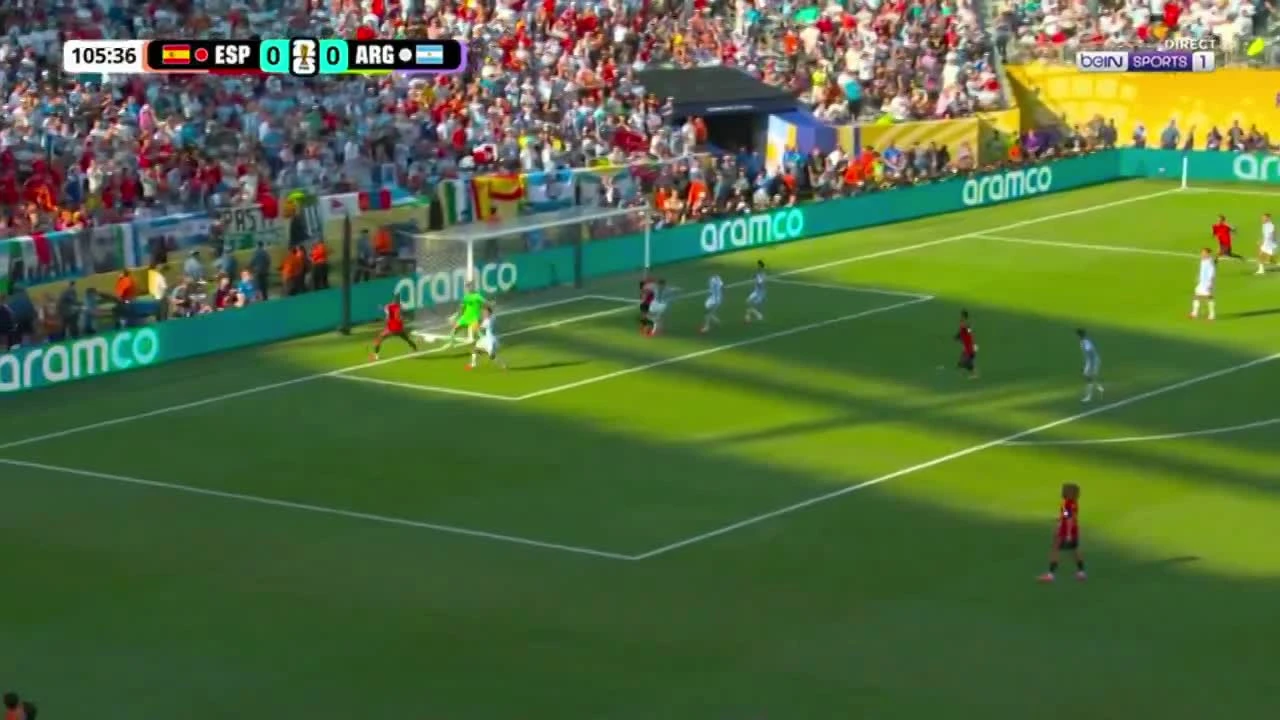 zaslepka skrotu video
