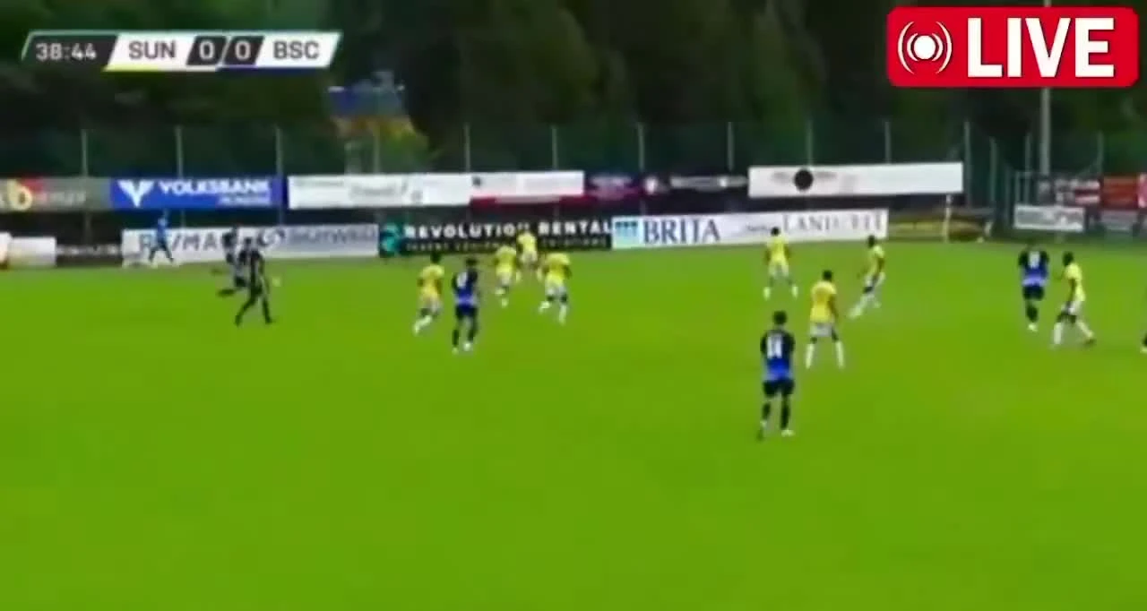 zaslepka skrotu video
