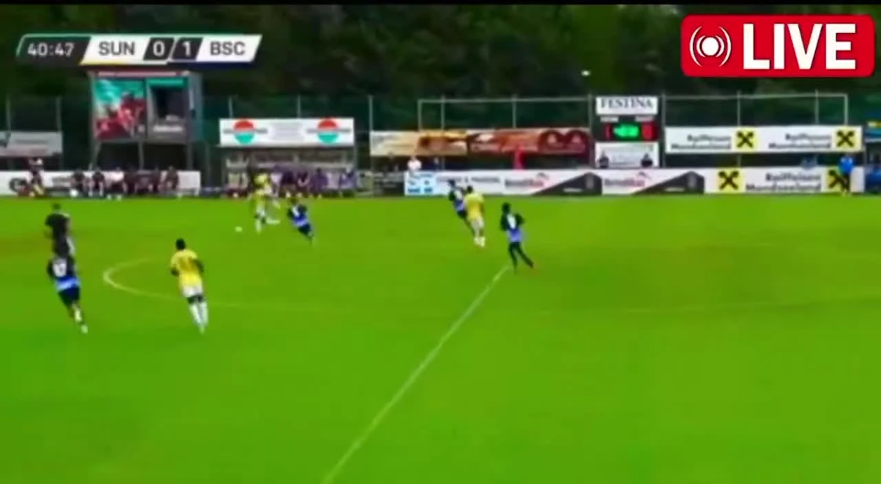 zaslepka skrotu video