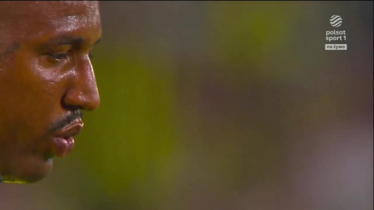 zaslepka skrotu video