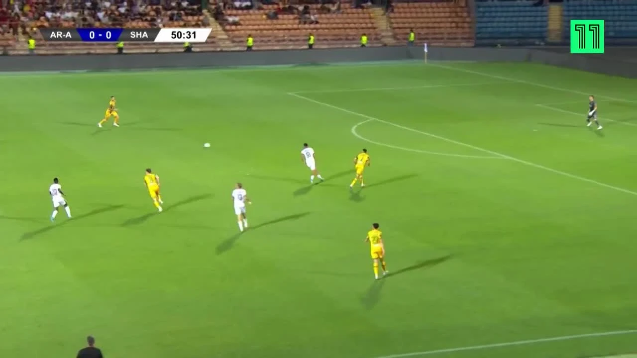 zaslepka skrotu video