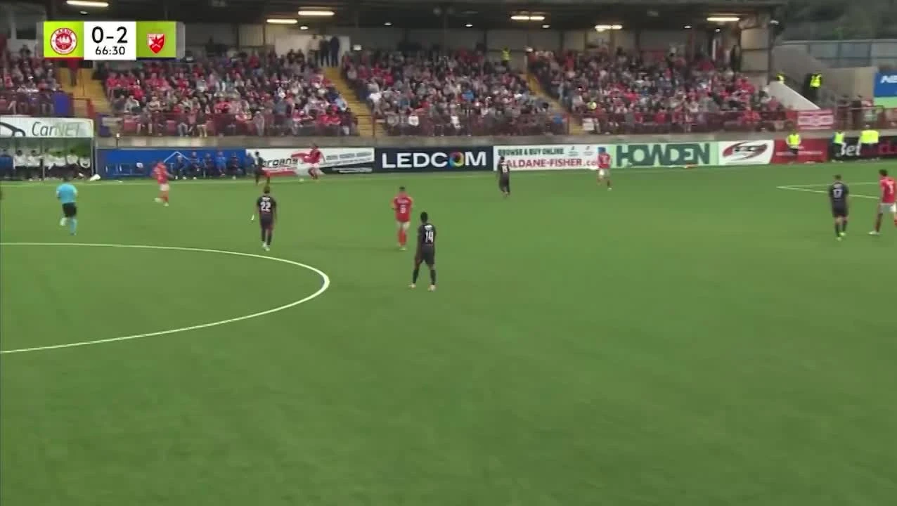 zaslepka skrotu video