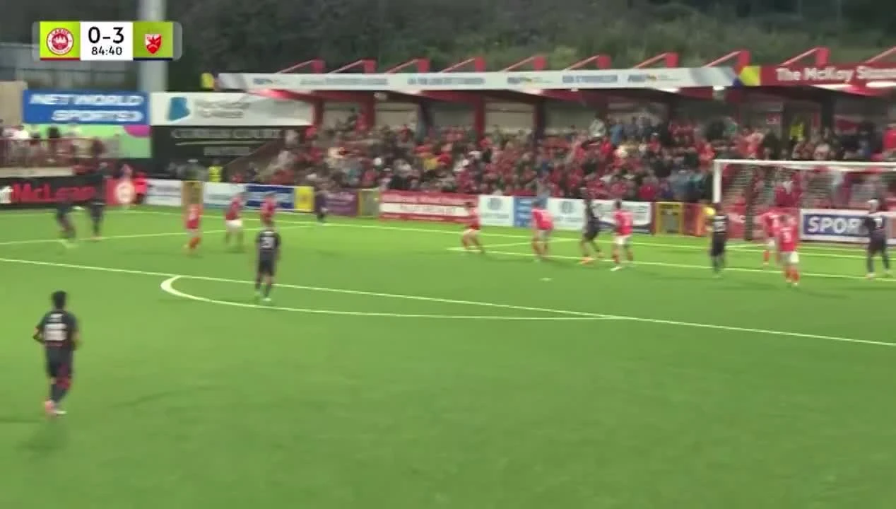 zaslepka skrotu video
