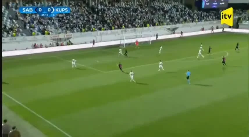zaslepka skrotu video