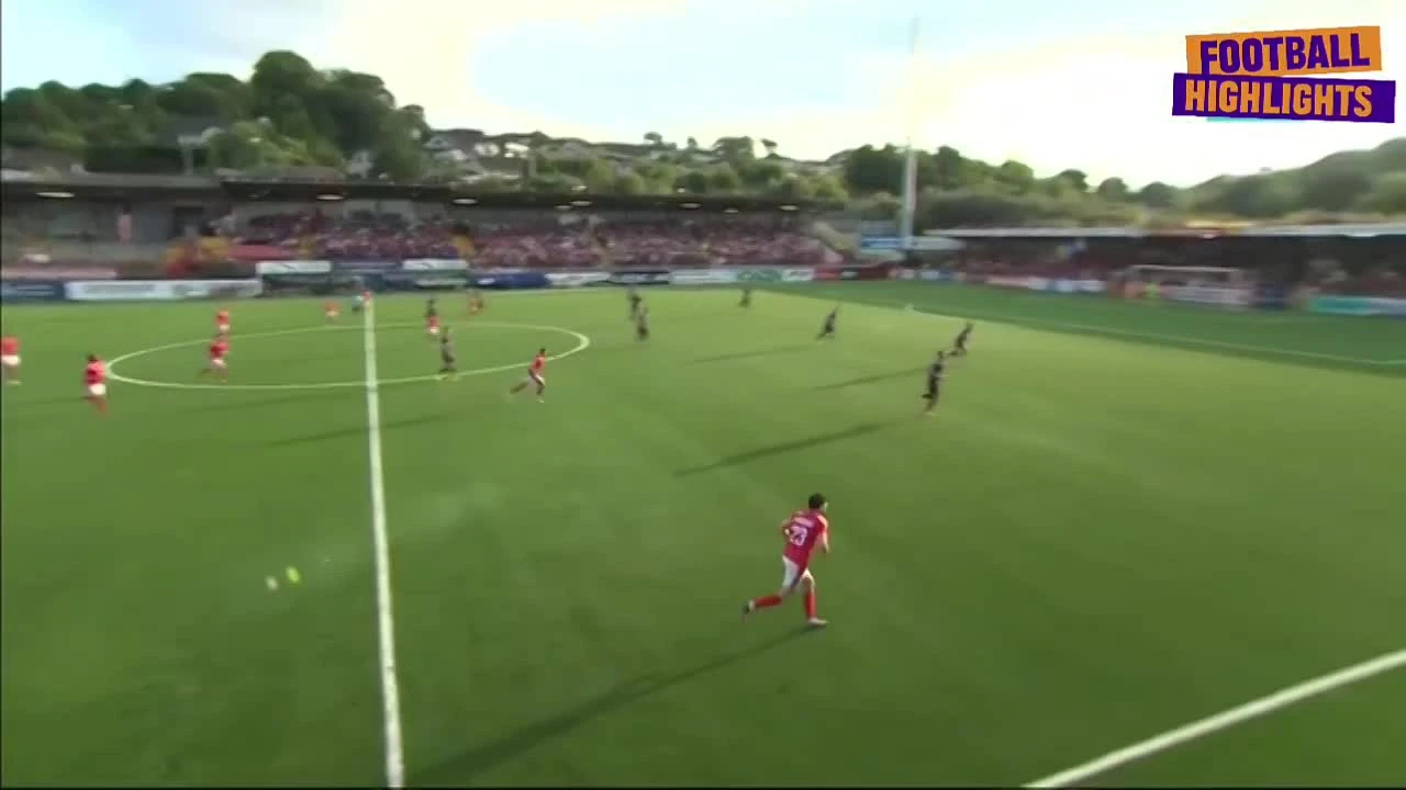 zaslepka skrotu video