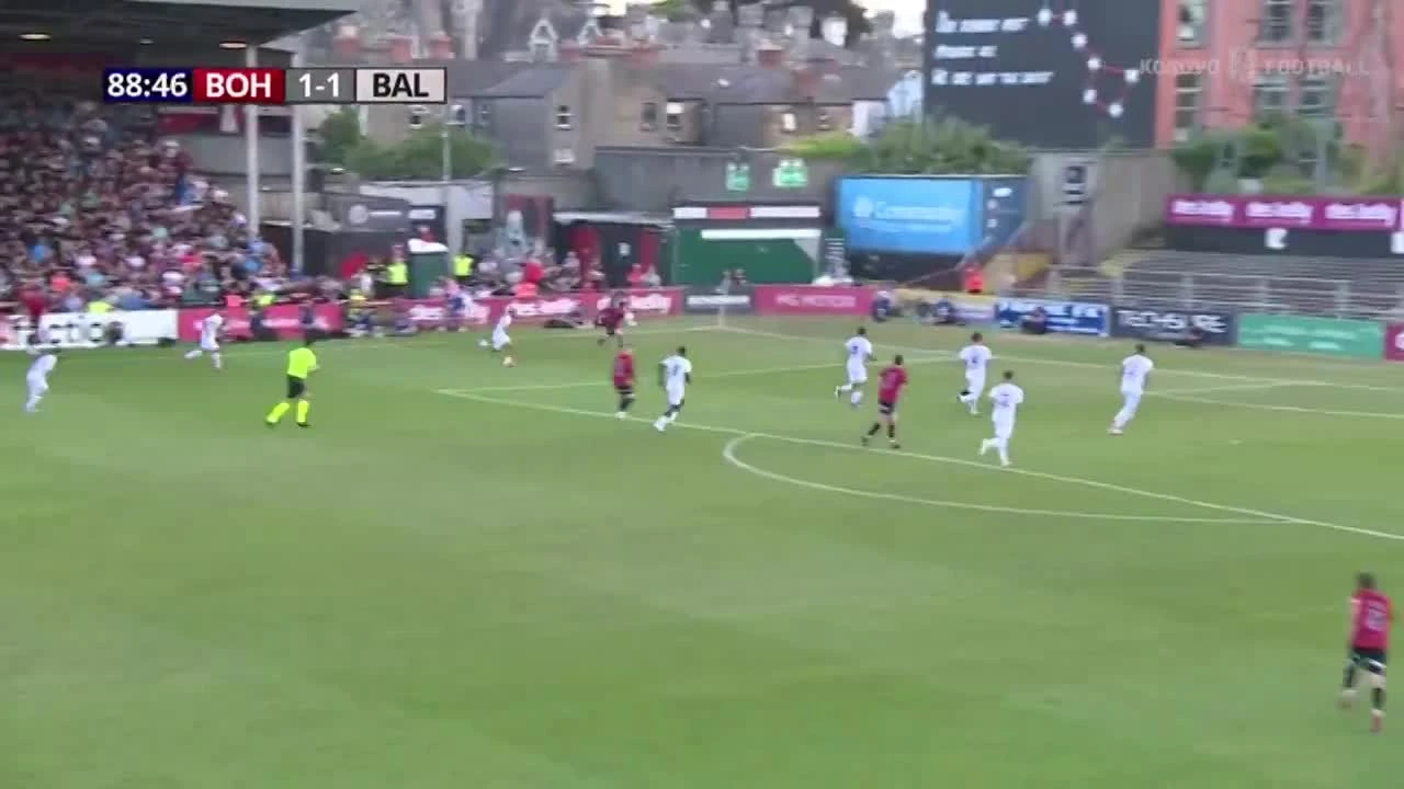 zaslepka skrotu video