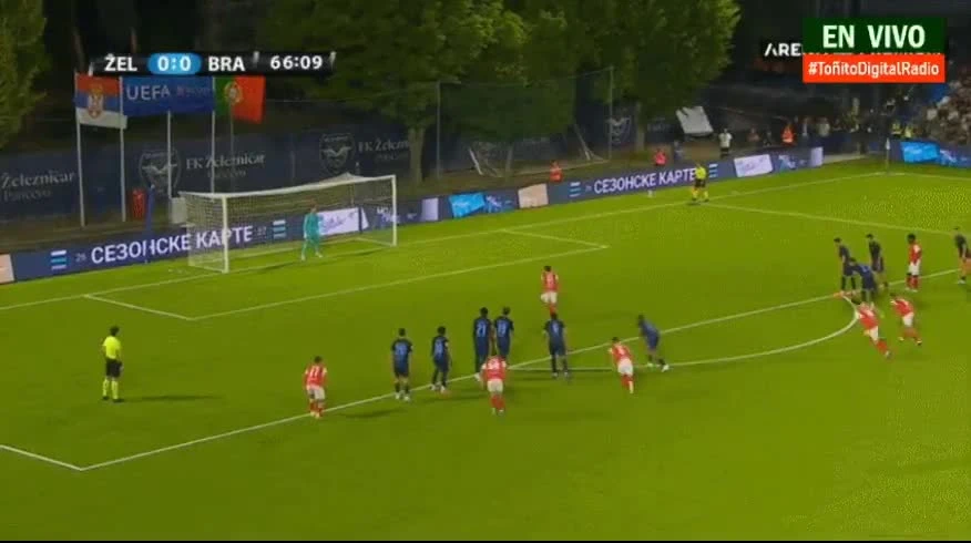 zaslepka skrotu video