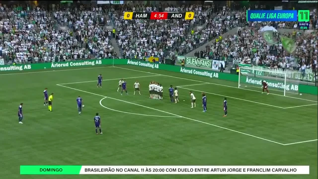 zaslepka skrotu video