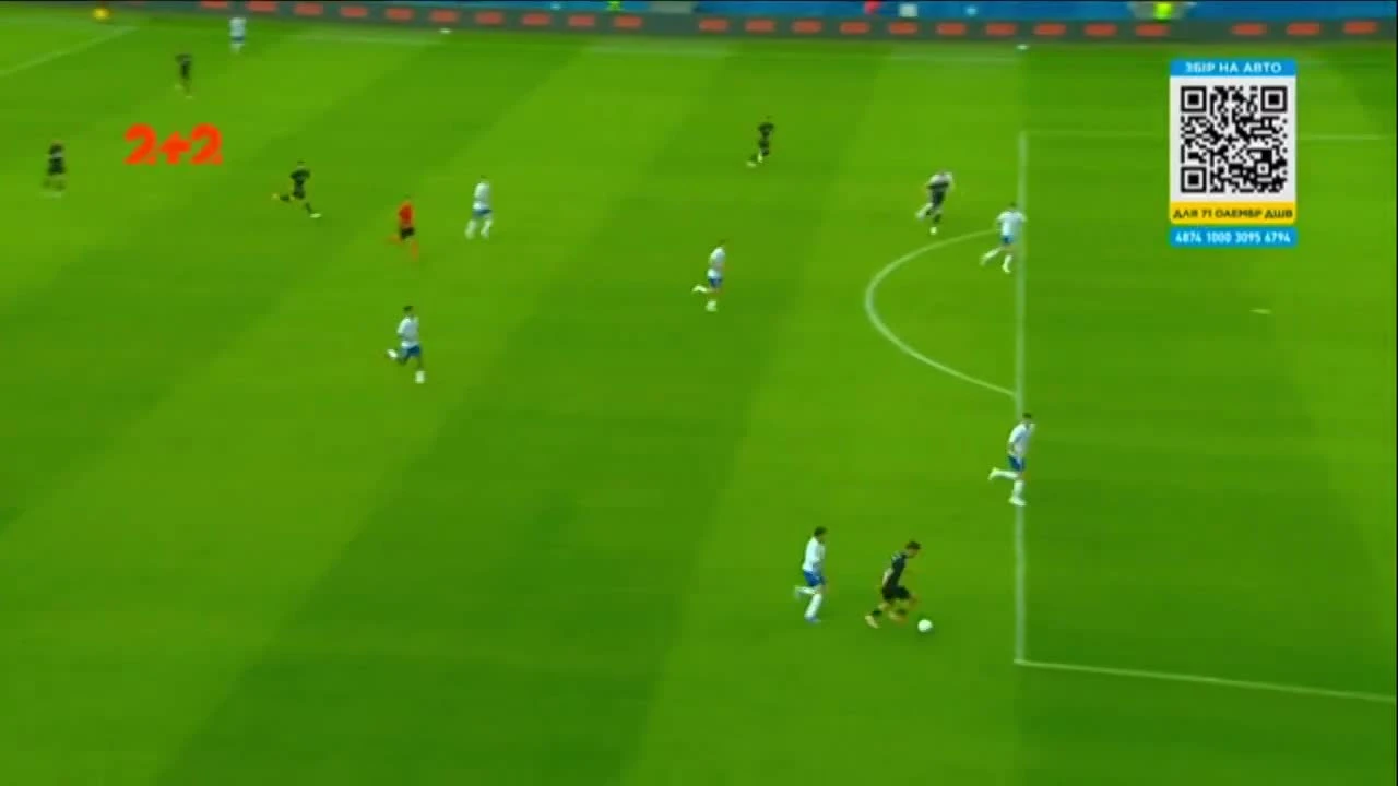zaslepka skrotu video