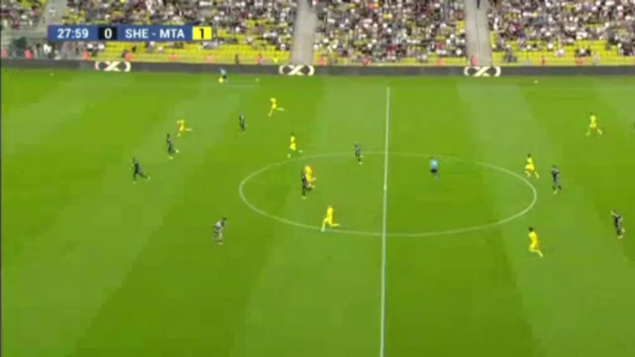 zaslepka skrotu video