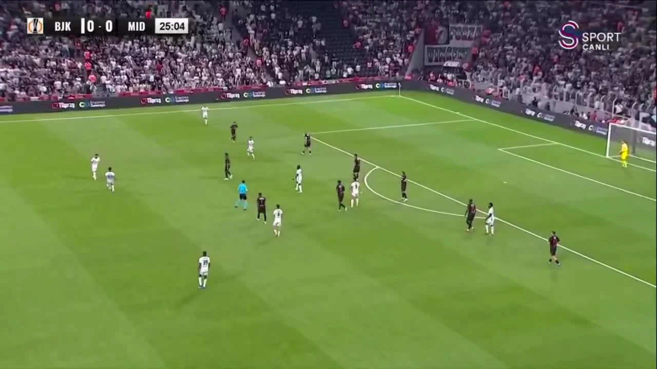 zaslepka skrotu video