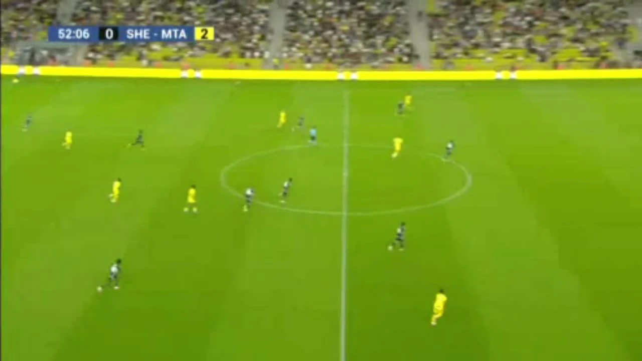 zaslepka skrotu video