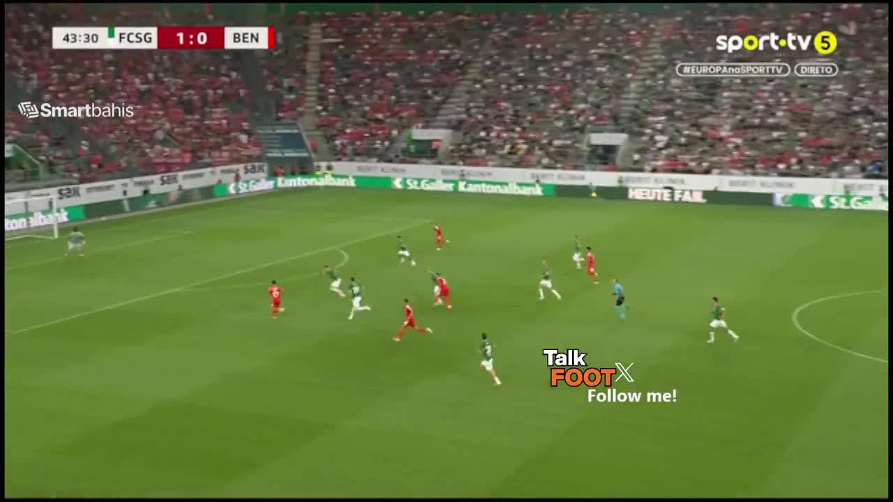zaslepka skrotu video