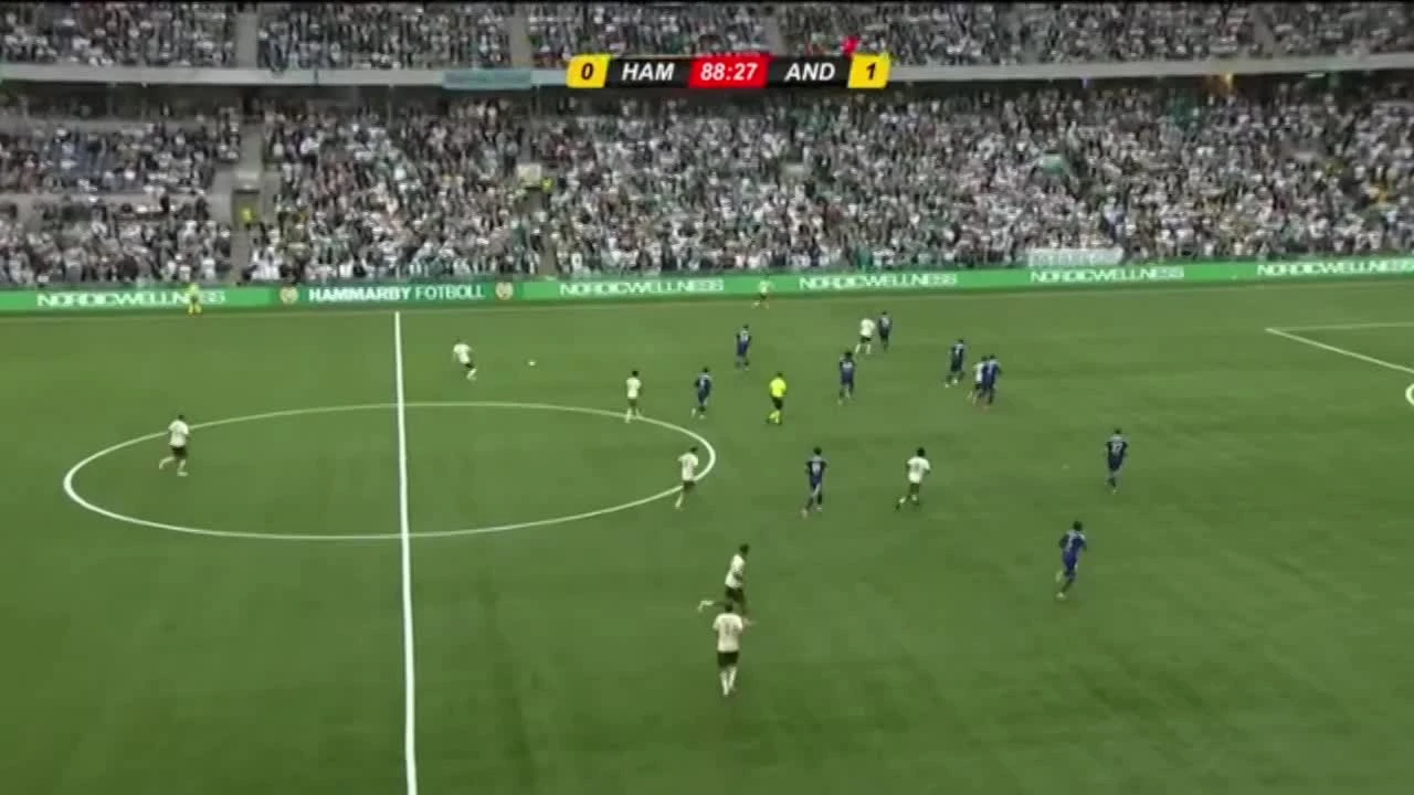 zaslepka skrotu video