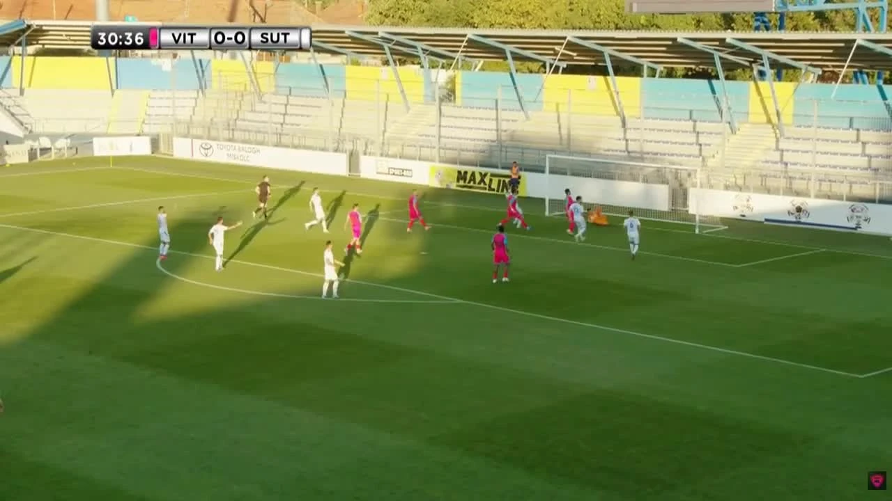 zaslepka skrotu video