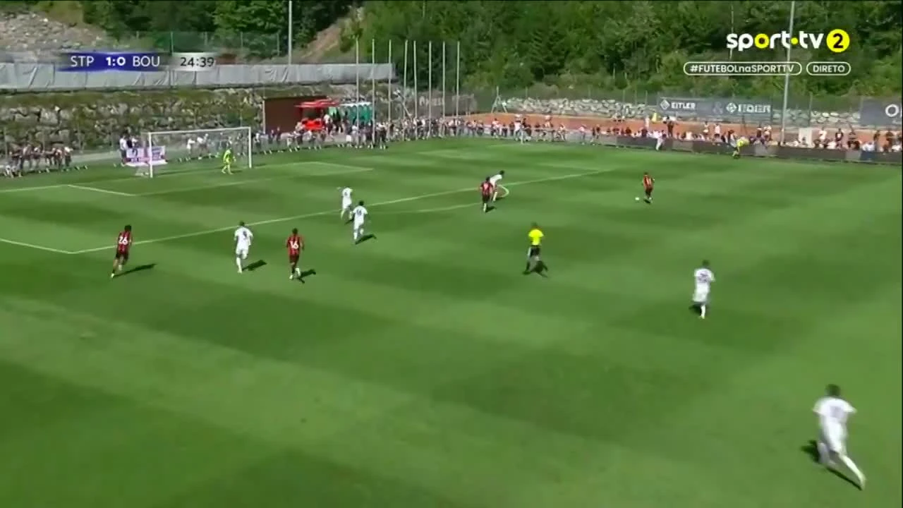 zaslepka skrotu video