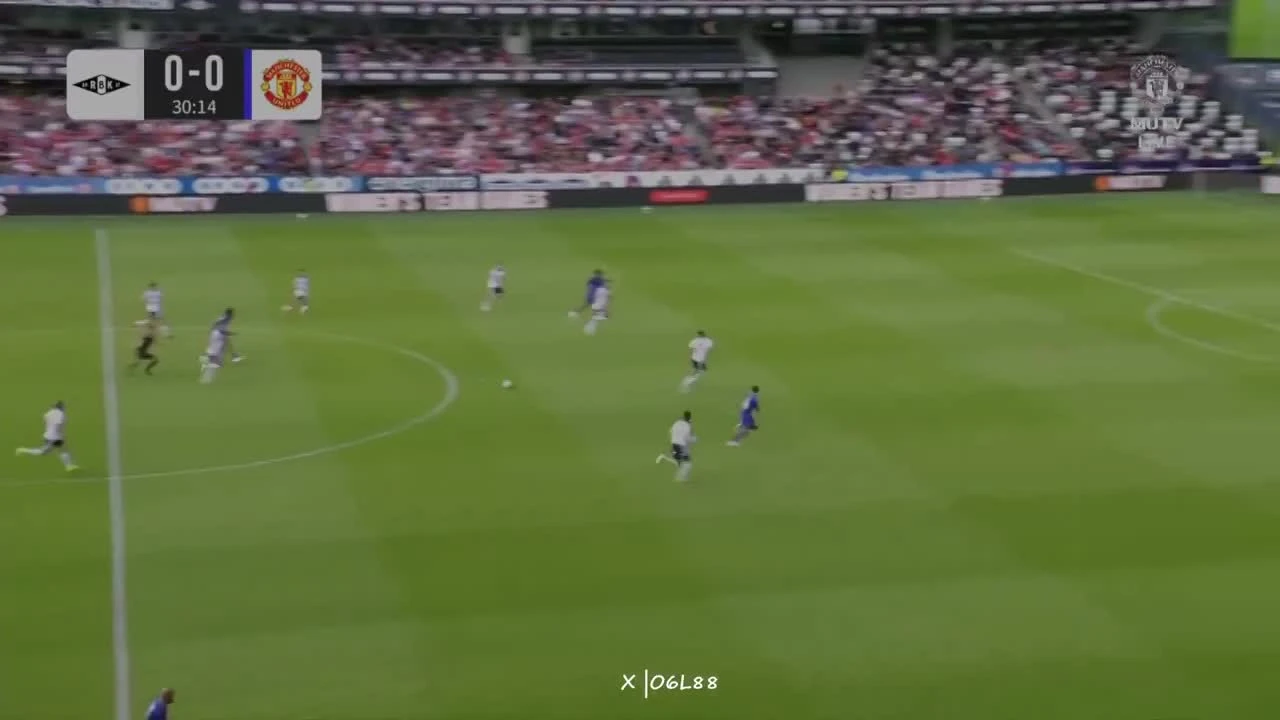 zaslepka skrotu video