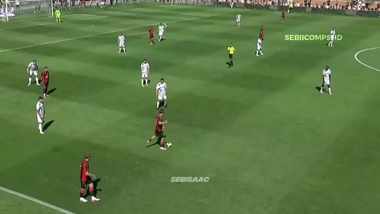 zaslepka skrotu video