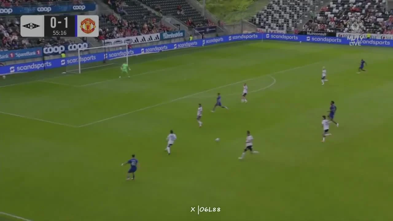 zaslepka skrotu video