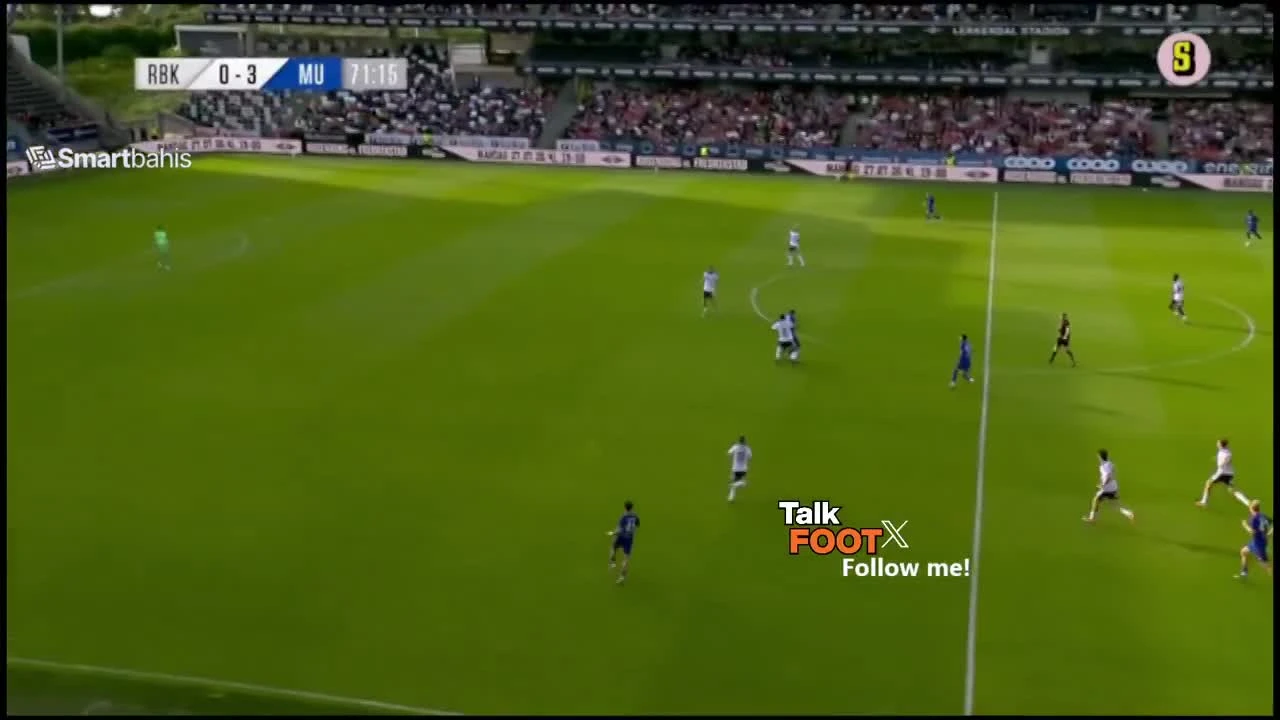 zaslepka skrotu video