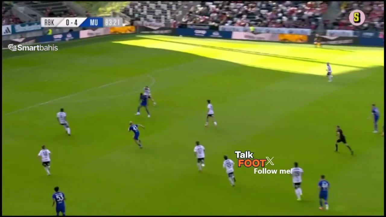 zaslepka skrotu video