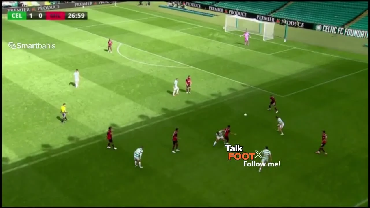 zaslepka skrotu video