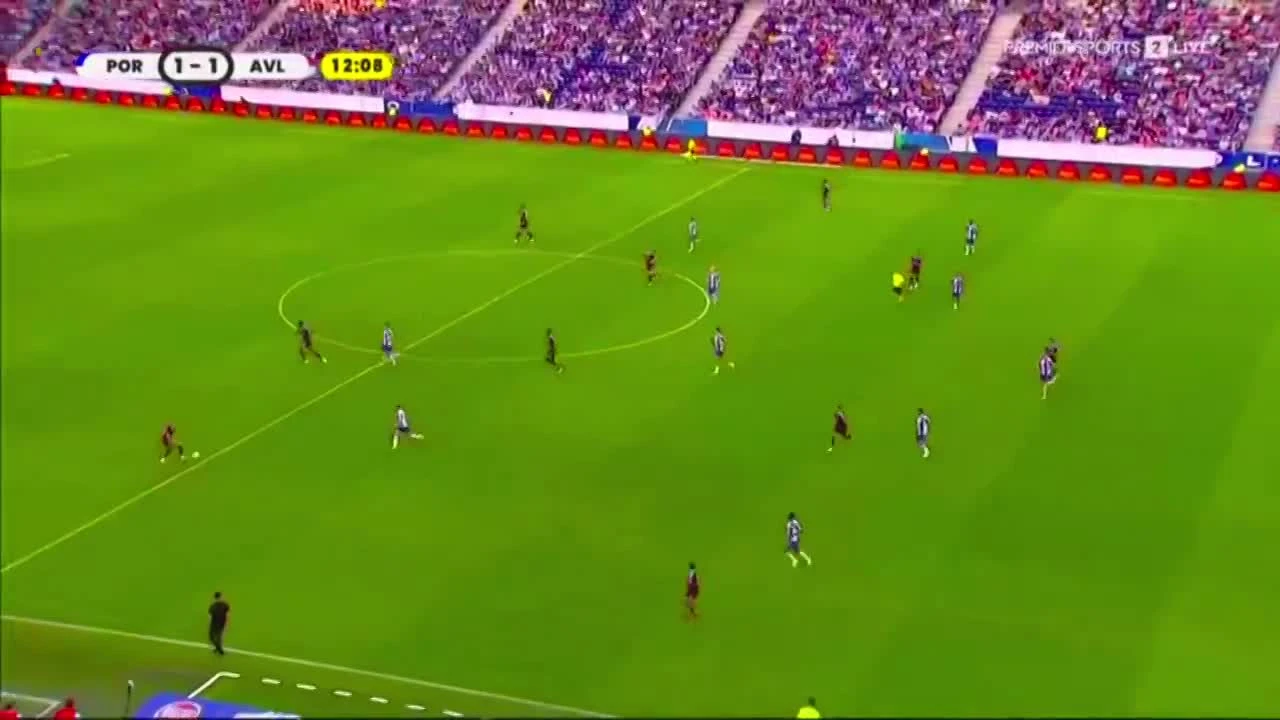 zaslepka skrotu video