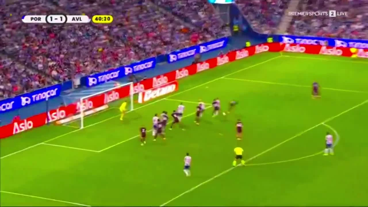 zaslepka skrotu video