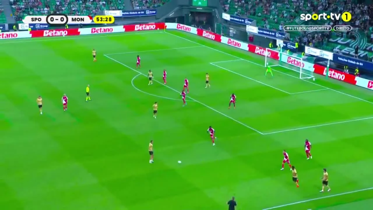 zaslepka skrotu video