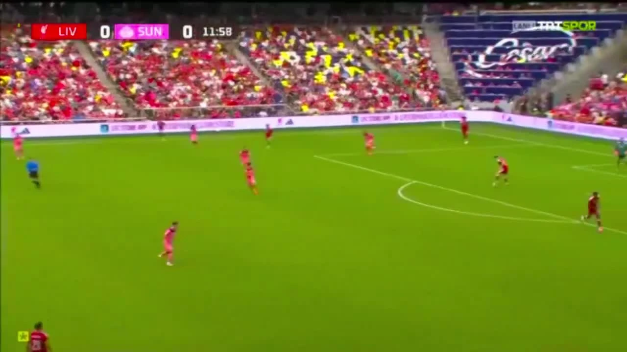 zaslepka skrotu video