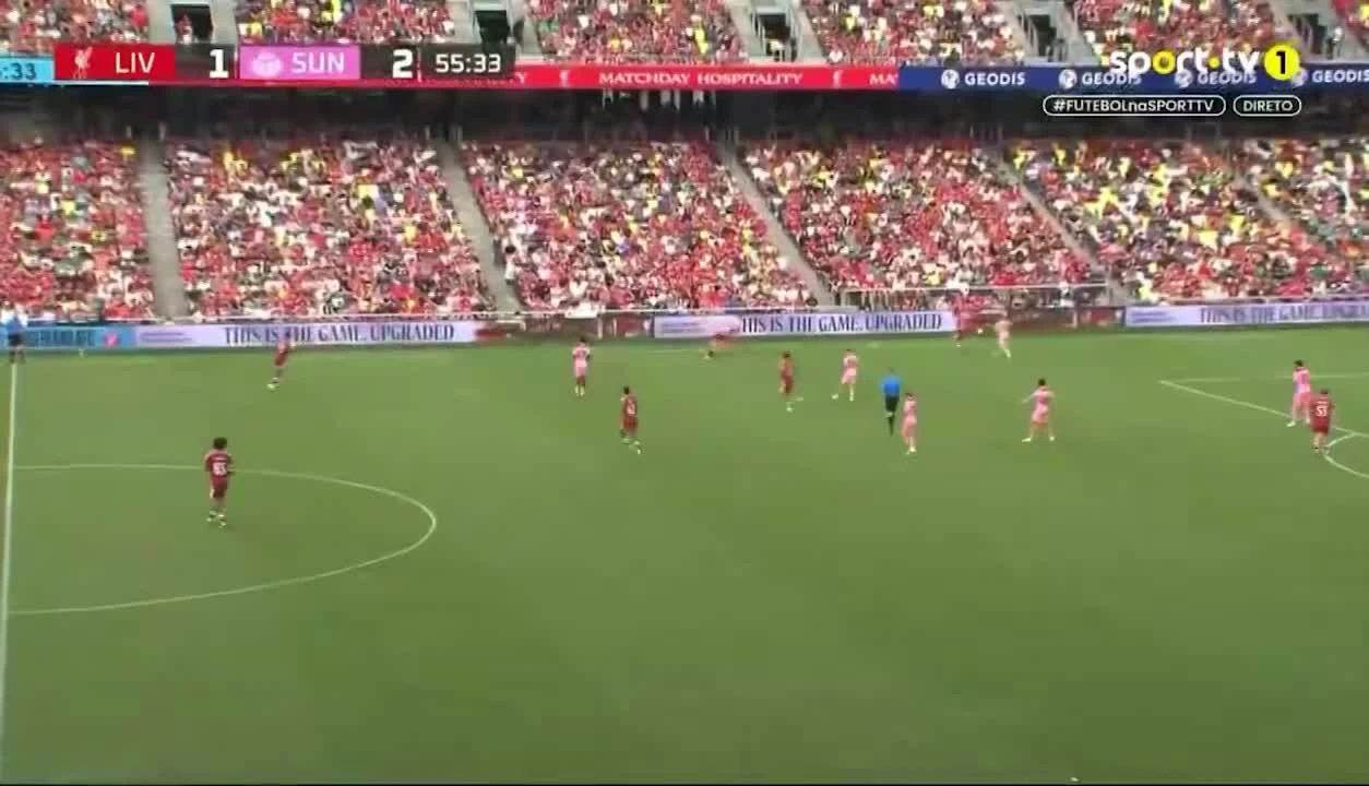 zaslepka skrotu video