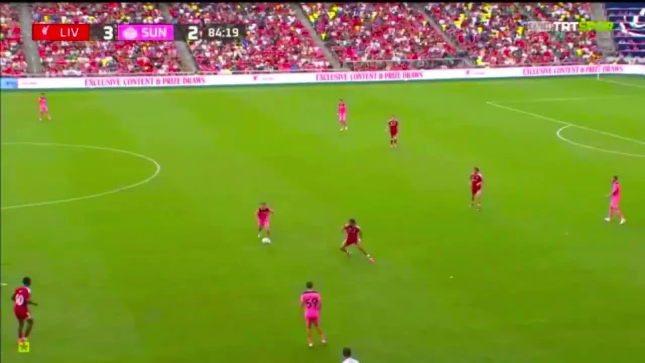 zaslepka skrotu video