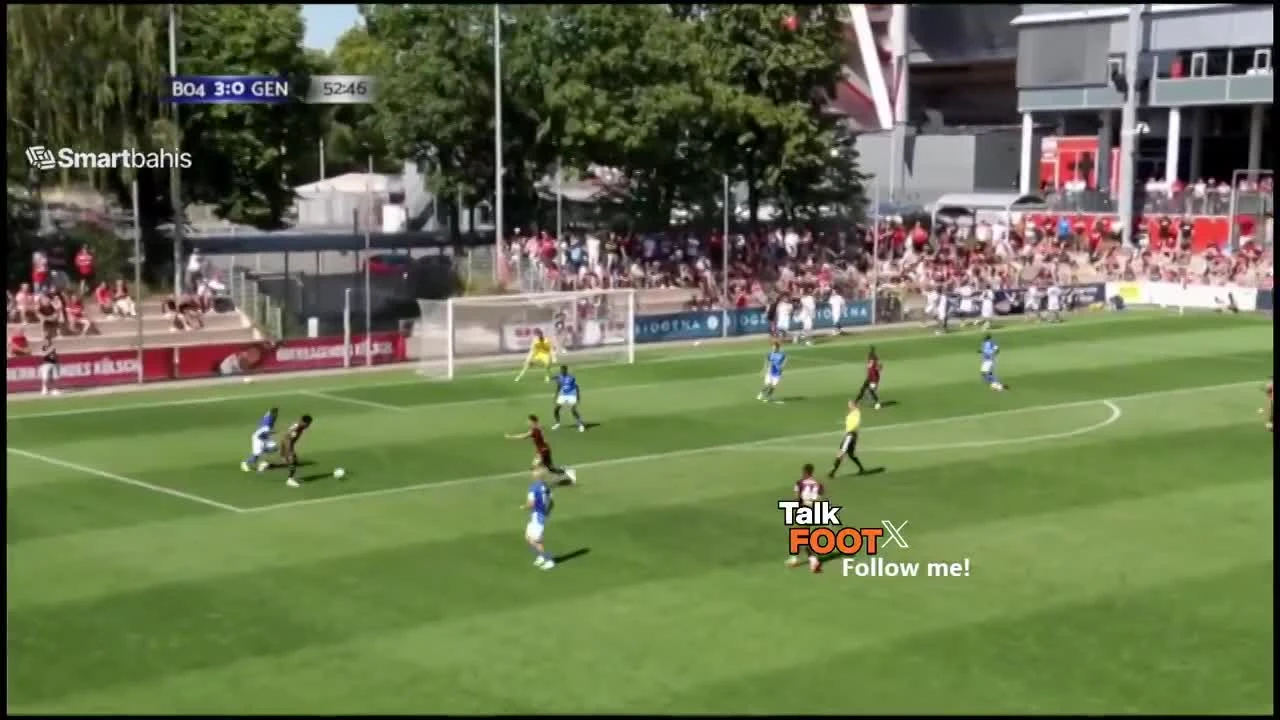 zaslepka skrotu video