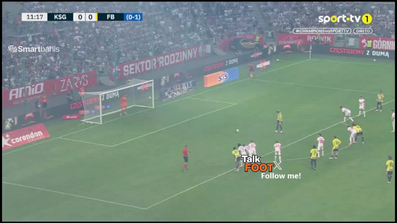 zaslepka skrotu video