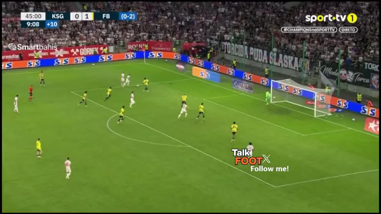 zaslepka skrotu video