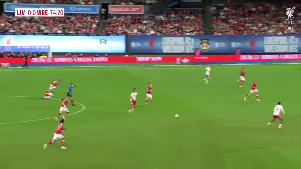 zaslepka skrotu video
